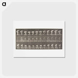 アートポストカード-Rolling Stone
 - エドワード マイブリッジ Postcard.