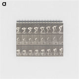 1-37_Eadweard-Muybridge_memo