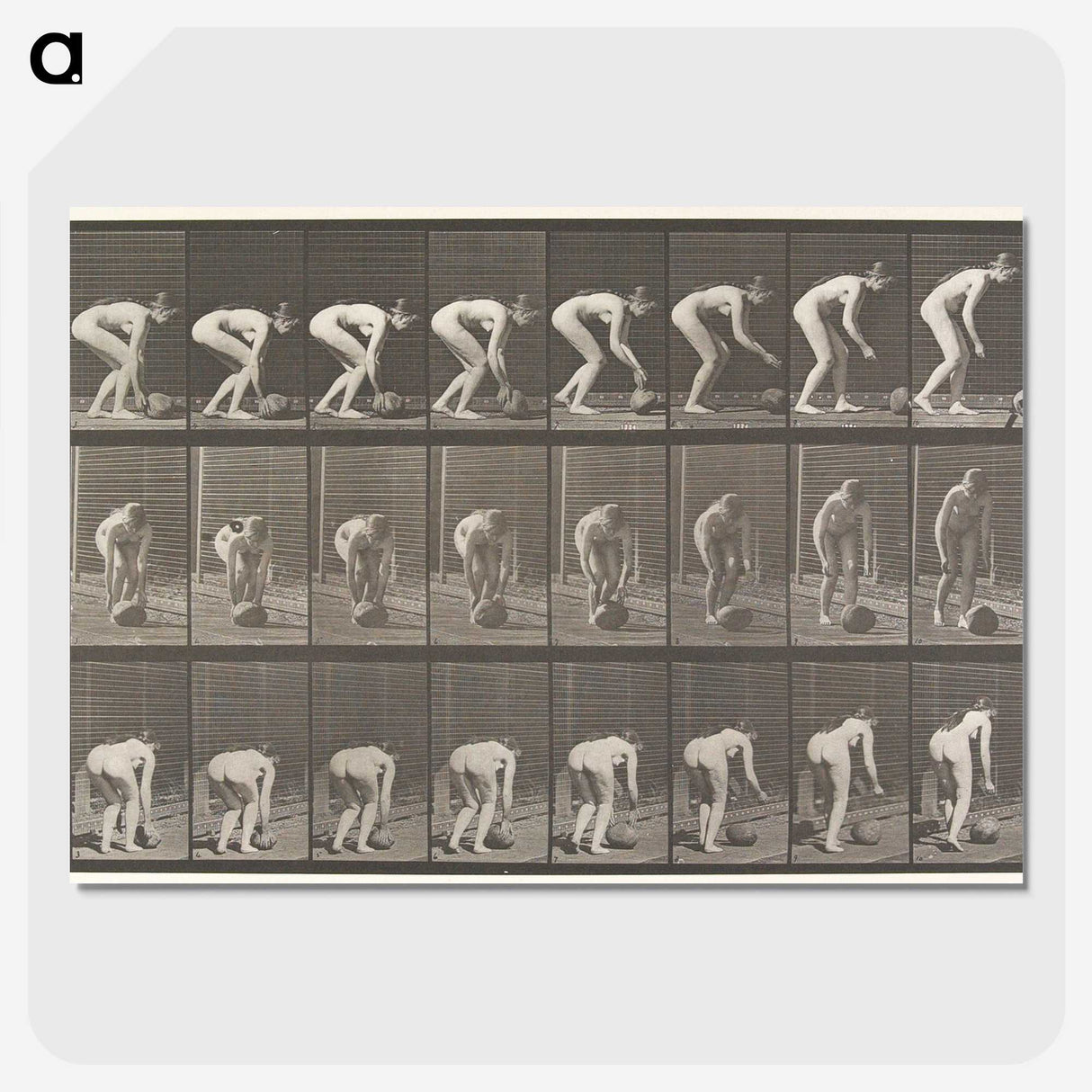 1-37_Eadweard-Muybridge_picture-crop