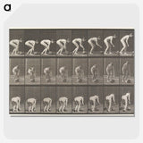 1-37_Eadweard-Muybridge_picture-crop