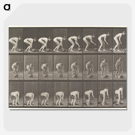 1-37_Eadweard-Muybridge_picture-crop