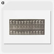 1-37_Eadweard-Muybridge_picture