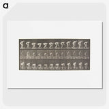 1-37_Eadweard-Muybridge_picture