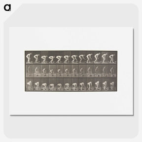 1-37_Eadweard-Muybridge_picture