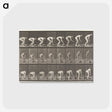 1-37_Eadweard-Muybridge_postcard