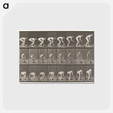 アートポストカード-Rolling Stone
 - エドワード マイブリッジ Postcard.
