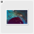 アートポストカード-Tongue of the Ocean and Grand Bahama Bank
 - 上空からの地球 Postcard.