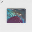 アートメモ帳-Tongue of the Ocean and Grand Bahama Bank
 - 上空からの地球 Memo.