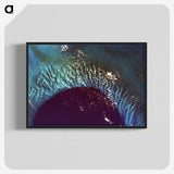 1-37_Earth-from-Above_blk-crop