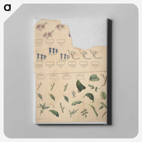 1-37_Education-Charts_canvas