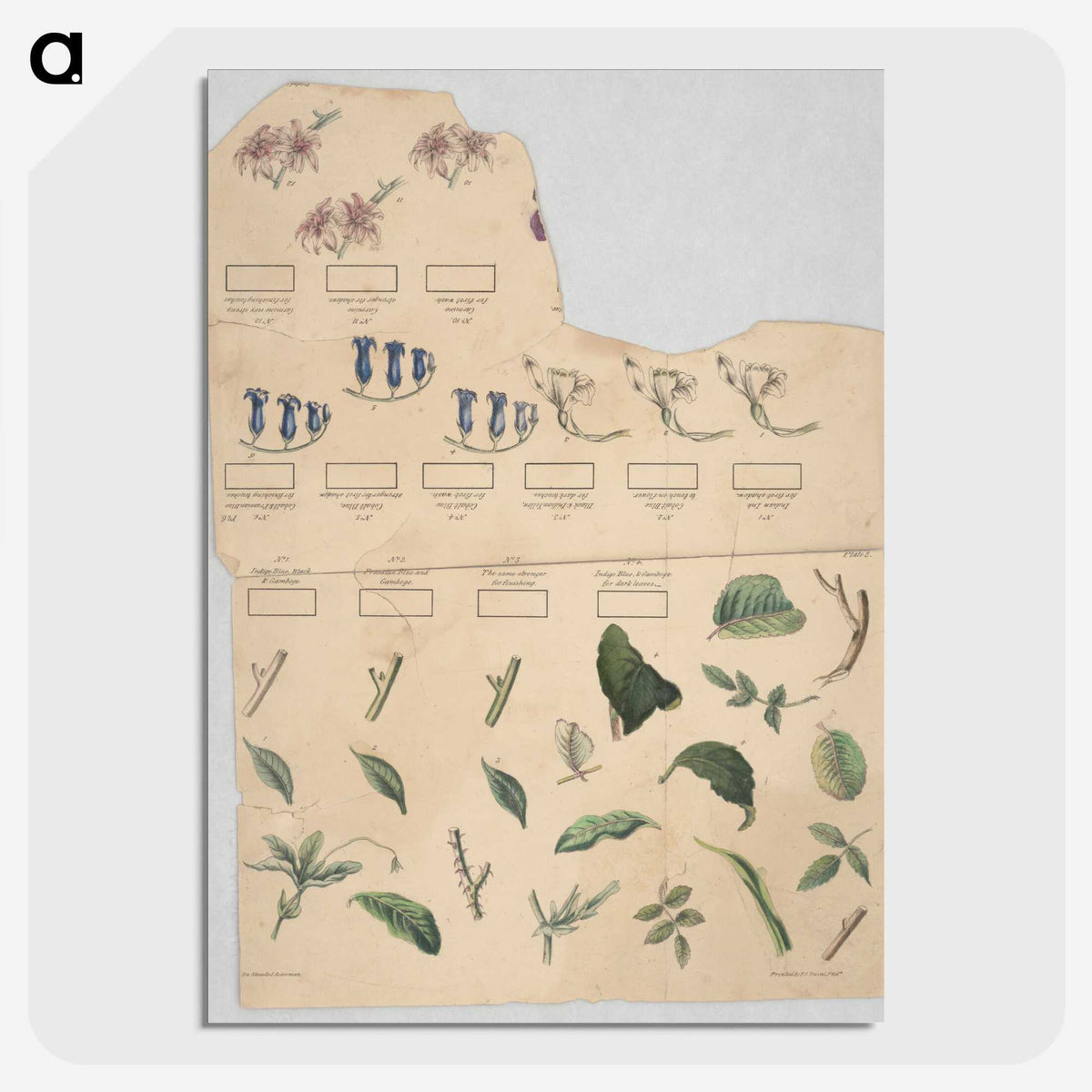 1-37_Education-Charts_picture-crop