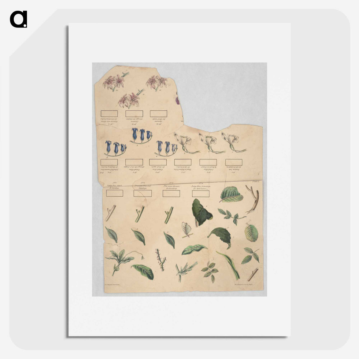1-37_Education-Charts_picture