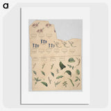 1-37_Education-Charts_picture
