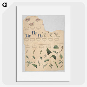 1-37_Education-Charts_picture