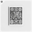 1-37_Ernst-Haeckel_memo