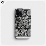 1-37_Ernst-Haeckel_phone