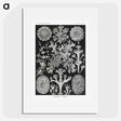 1-37_Ernst-Haeckel_picture