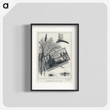 1-37_Favorite-Flies-and-Their-History_blk