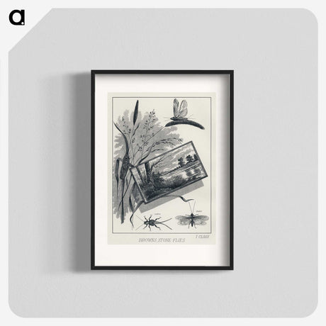 1-37_Favorite-Flies-and-Their-History_blk
