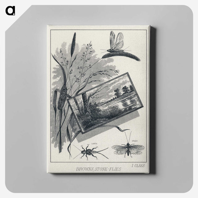 1-37_Favorite-Flies-and-Their-History_canvas