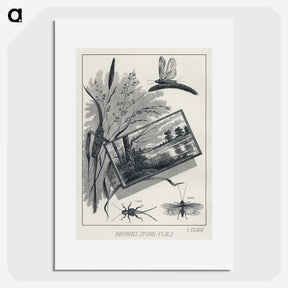 1-37_Favorite-Flies-and-Their-History_picture