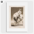 1-37_Francisco-de-Goya_picture