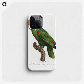 1-37_Francois-Levaillant_phone