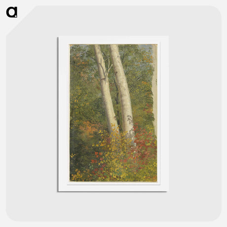 アートポストカード-Birch Trees in Autumn - フレデリック エドウィン チャーチ Postcard.