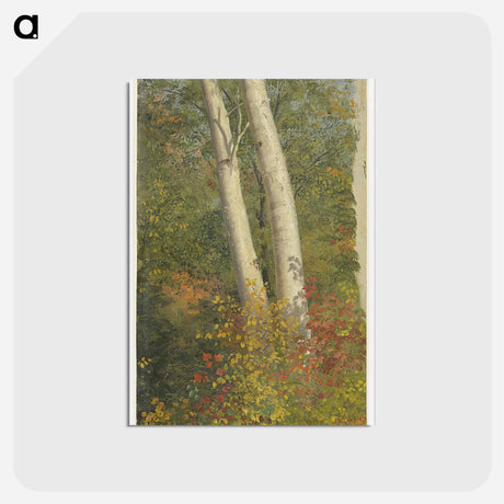 アートポストカード-Birch Trees in Autumn - フレデリック エドウィン チャーチ Postcard.