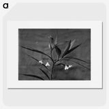 1-37_Frederick-Charles-Brockett_picture