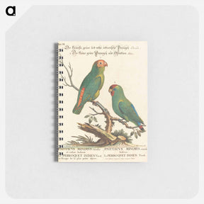 アートメモ帳-Parrot
 - ジョージ エドワーズ Memo.