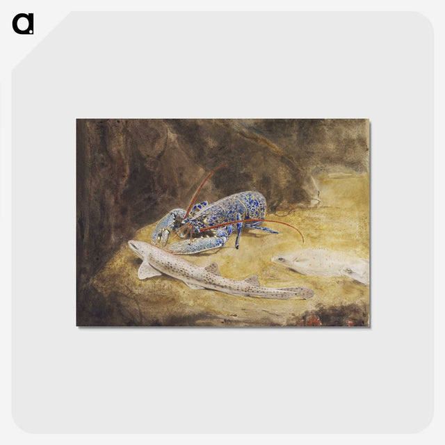 1-37_Gerrit-Willem-Dijsselhof_postcard