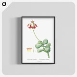 1-37_Histoire-des-Plantes-Grasses_blk-crop