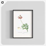 1-37_Histoire-des-Plantes-Grasses_blk
