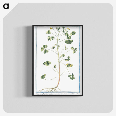 1-37_Hortus-Romanus-Botanical-Plates_blk-crop