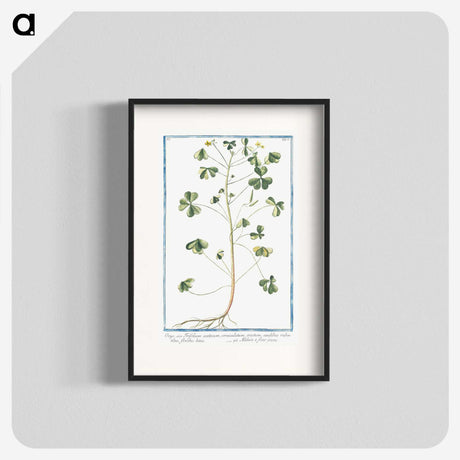 1-37_Hortus-Romanus-Botanical-Plates_blk
