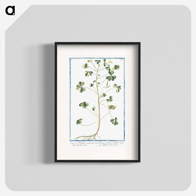 1-37_Hortus-Romanus-Botanical-Plates_blk