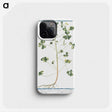 1-37_Hortus-Romanus-Botanical-Plates_phone