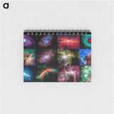 アートメモ帳-Spitzer's Cosmic Eye Candy
 - ハッブル画像 Memo.