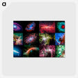 アートポストカード-Spitzer's Cosmic Eye Candy
 - ハッブル画像 Postcard.