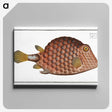 1-37_Ichtyologie-ou-Histoire-naturelle_canvas