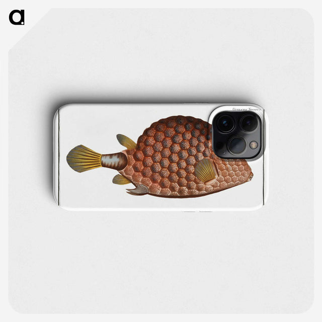 1-37_Ichtyologie-ou-Histoire-naturelle_phone