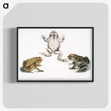 1-37_Indian-Zoology_blk-crop