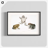 1-37_Indian-Zoology_blk