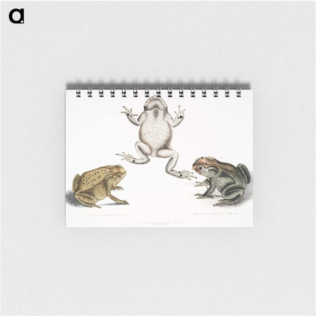 1-37_Indian-Zoology_memo