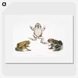 1-37_Indian-Zoology_picture