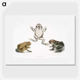 1-37_Indian-Zoology_picture