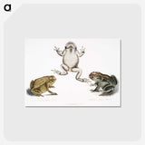 1-37_Indian-Zoology_postcard