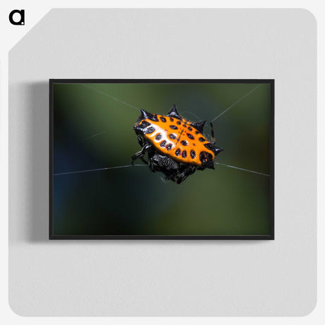 1-37_Insects-Unlocked-Project_blk-crop