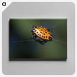 1-37_Insects-Unlocked-Project_canvas